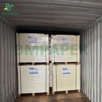 Kertas Kemasan Makanan Beku dengan Kekakuan Tinggi 275gsm + 15g PE Dilapisi 635 X 902mm