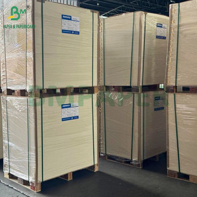 Kertas Kemasan Makanan Beku dengan Kekakuan Tinggi 275gsm + 15g PE Dilapisi 635 X 902mm