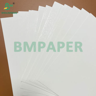 Kekuatan Baik 250g - 400g Gulungan Karton Blister yang Dapat Disegel Panas Lebar 1041mm