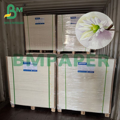 200/230/300gr Natural White Water Color Paper Untuk Art Printing A4 A3