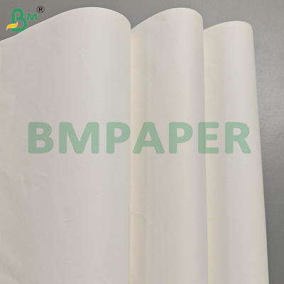 Lembaran Kertas Pelapis Kaca Anti-Jamur 40GSM