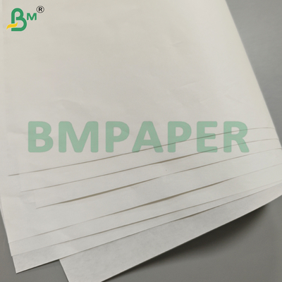 Lembaran Kertas Pelapis Kaca Anti-Jamur 40GSM