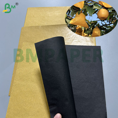 Kertas Kantong Buah Coklat Gulungan 56gsm 370mm 380mm Untuk Pelindung Mangga