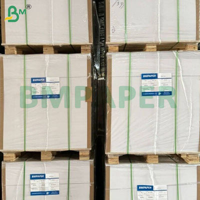 250+15 Gsm Satu Sisi PE Lapisan Kertas Tulang Piala Lapisan