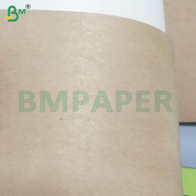 Lembaran Kertas Dasar Mangkuk Kekakuan Tinggi Dilapisi PE 350gsm+20gsm