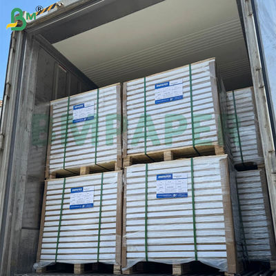 Kertas Salin Sendiri Karbonless NCR 55gsm 60gsm Lembaran Panjang Kosong 70x100cm 61x86cm