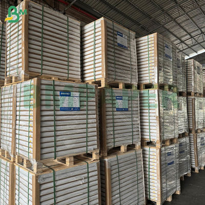 Kertas Salin Sendiri Karbonless NCR 55gsm 60gsm Lembaran Panjang Kosong 70x100cm 61x86cm