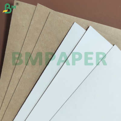 Panas tahan PE Lapisan kertas cup Stock ramah lingkungan