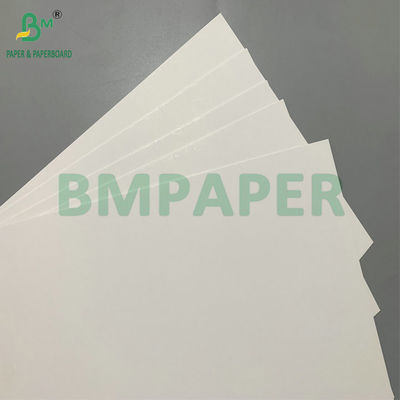 C1S White Top Kraft Back 265g 350g Kraft Paper Board For Packing Box