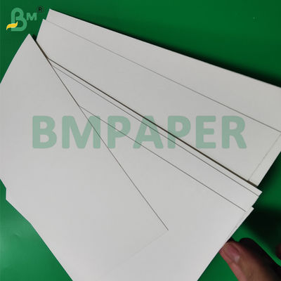 275g + 15g PE Coated Paper For Plate Tray Biodegradable 1000mm Food Safe