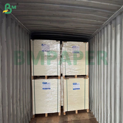 Kertas CupStock Matte 240gsm +15PE Untuk Pembuatan Ember Popcorn 61 X 86cm