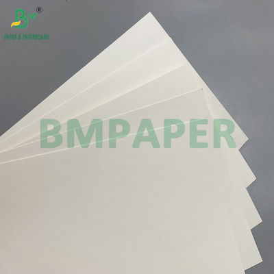 190g Matte PE Coated White Cardstock For Making Hot Drinks Cups
