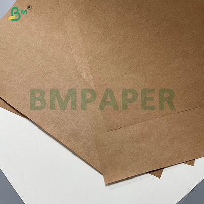 95/105 gsm Kekuatan Tinggi Absorpsi Pendingin Pad Base Paper Kraft Roll
