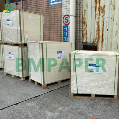 Kertas khusus mangkuk dan piring kelas makanan / kertas piring, dilapisi PET