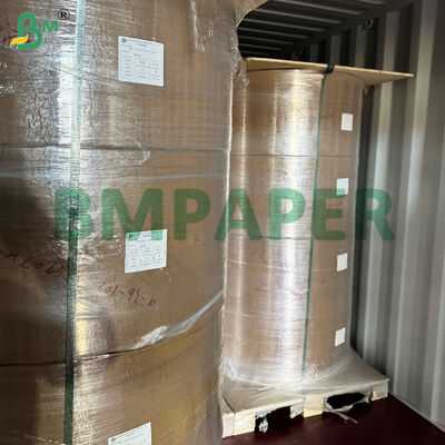 Kertas khusus mangkuk dan piring kelas makanan / kertas piring, dilapisi PET