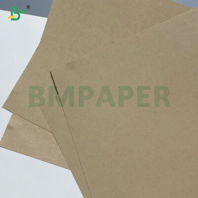 260GSM+ 18GSM FDA Bamboo Kraft Paper Degradable Dengan PE / PLA Coated Cup Stock Paper
