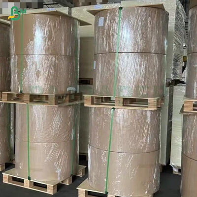 Kertas Label Bir Kekuatan Basah Tinggi Satu Sisi Mengkilap 65gsm 70gsm