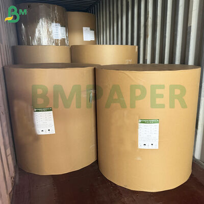 Kertas Kemasan Kraft Putih Kilap Tunggal Food-Grade 30gsm hingga 80gsm