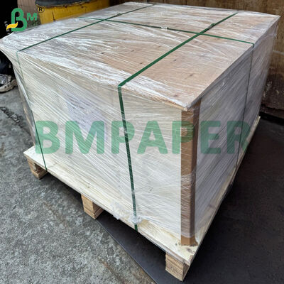 Kertas Doilies Renda Perkamen Panggang Food Grade 50gsm Untuk Cangkir Kertas Muffin Panggang