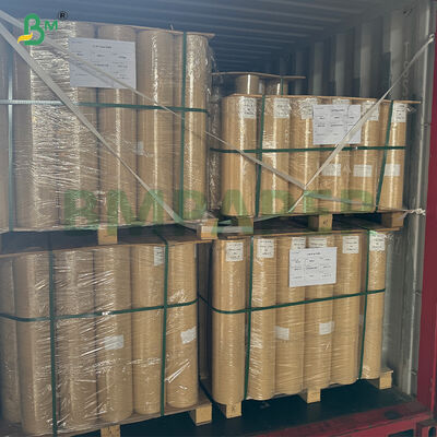 Kertas Kraft Penyerap Tinggi 75gsm untuk Unggas Anak Ayam dalam Gulungan