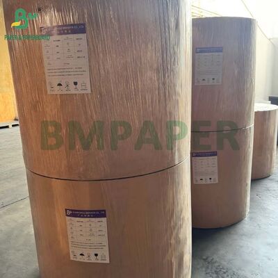 Single Side Glossy C1S Cardstock 16pt 18pt 24pt Untuk Kemasan Blister Clamshell