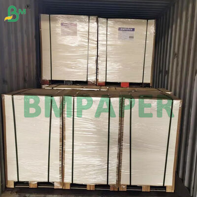 Kertas Sampul Berlapis Sisi Ganda 370lb 12" X 18" Warna Putih