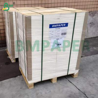 100lb 270gm Putih Tidak dilapisi Smooth Bristol Board 22 "x 30"