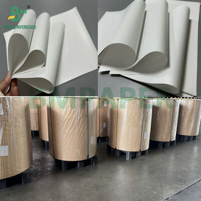 65gram 70gram BPA-Free Winter Thermal Receipt Paper For Outdoors POS 800mm 900mm