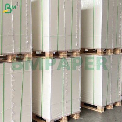 Lembaran Kertas Termal 55gsm/65gsm Cocok untuk Penggunaan POS Luar Ruangan