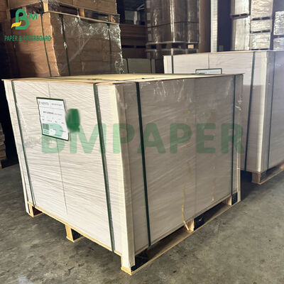 Karton Putih 300gsm 400gsm 539mm X 517 mm untuk Kemasan Blister Sikat Gigi