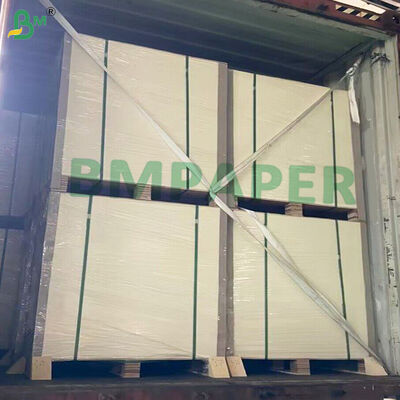 Kertas Putih Dilapisi PET Untuk Piring Makan dan Piring Tahan Panas
