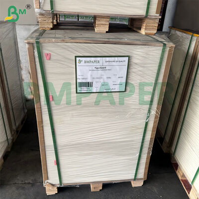 300gm Gula Gula Gula Bagasse kertas pulp Biodegradable Certified 787mm X 1092mm