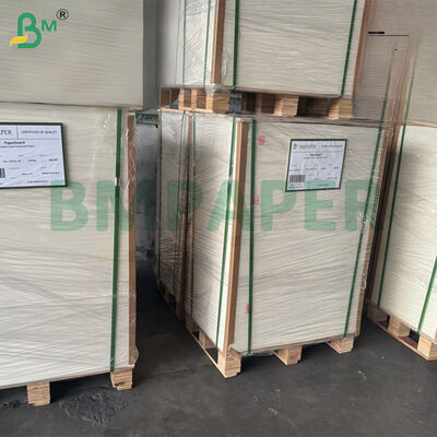 300gm Gula Gula Gula Bagasse kertas pulp Biodegradable Certified 787mm X 1092mm