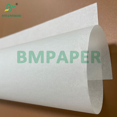 Good Smoothness 40GSM Jumbo Roll Greaseproof Paper White for Sandwich Wrapping