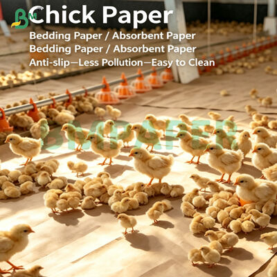 Liner Kraft Absorptif Isolasi Kuat Untuk Budidaya Unggas Muda