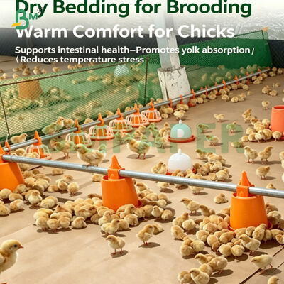 Kertas Pakaian Unggas Biodegradable yang tahan kelembaban untuk anak ayam