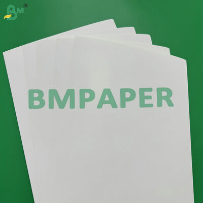 Karton Dilapisi C1S 275gsm + 15g PE Tahan Air dan Tahan Minyak untuk Kemasan Makanan