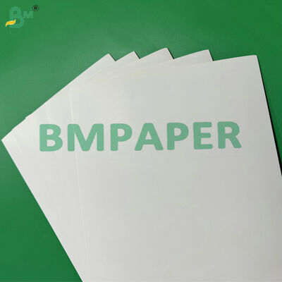 Karton Dilapisi C1S 275gsm + 15g PE Tahan Air dan Tahan Minyak untuk Kemasan Makanan