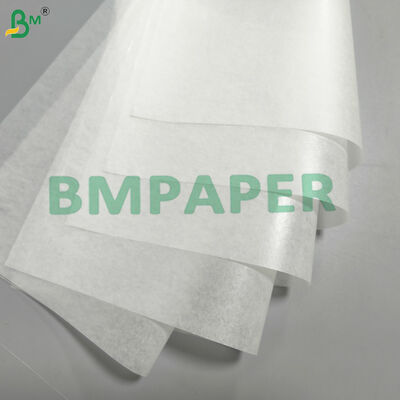 20gm Food Grade Tortilla Separator Paper Bawang Kulit Kertas Cebolla