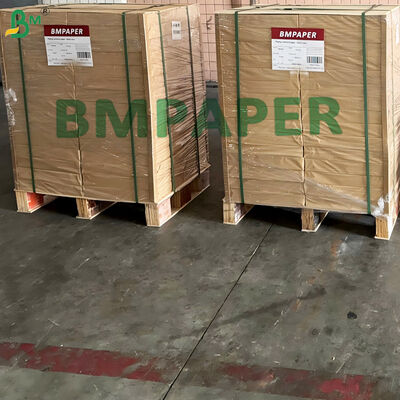 20gm Food Grade Tortilla Separator Paper Bawang Kulit Kertas Cebolla