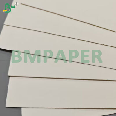 Kelas Makanan Kontainer Makanan Lembar Kertas 190gsm + Lapisan PE