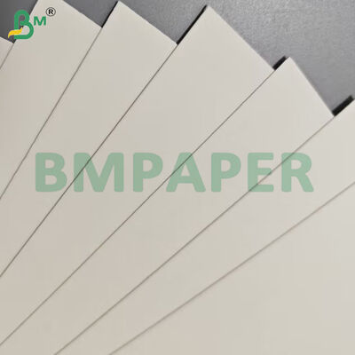 Kelas Makanan Kontainer Makanan Lembar Kertas 190gsm + Lapisan PE