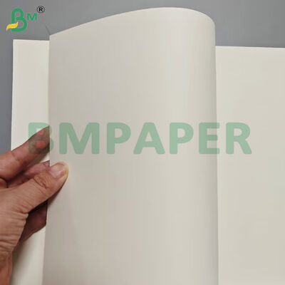 Kelas Makanan Kontainer Makanan Lembar Kertas 190gsm + Lapisan PE