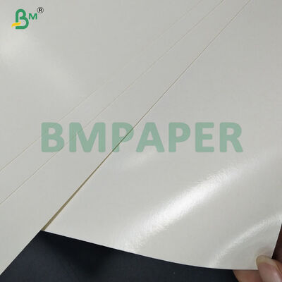 Virgin Wood Pulp PE Laminated Mie Instan Cup Bowl Kertas Mentah Anti Bocor