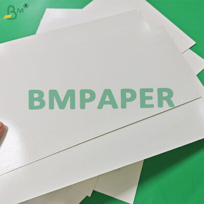 300gm + 15g PE Lapisan Putih Lunch Box Paper Untuk Pengemasan Makanan Cepat 400 x 500mm