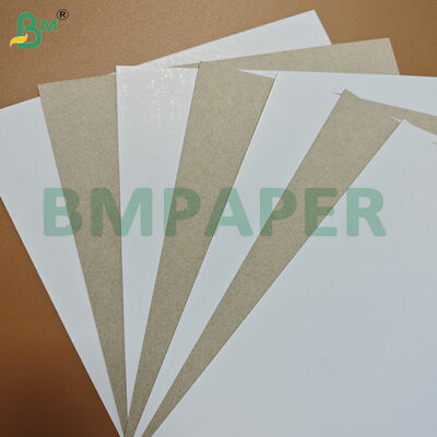 0.5mm Karton Dupleks Berlapis Tahan Lama Satu Sisi Dengan Sisi Belakang Abu-abu