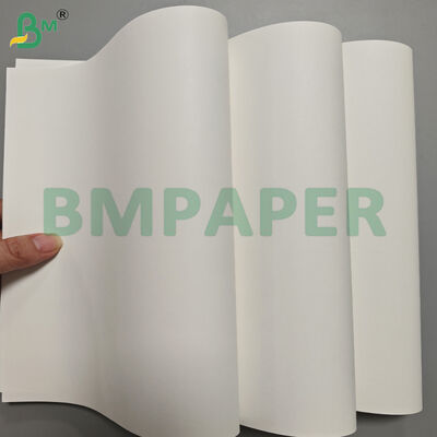 Gulungan Kertas Kraft Putih Kekuatan Tinggi 120gsm untuk Tas Belanja