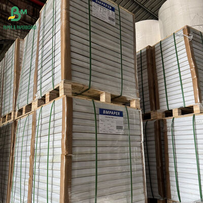 55gsm 60gsm 65gsm Black Ink Digital NCR Copy Paper CB CFB CF 57cm X 87cm