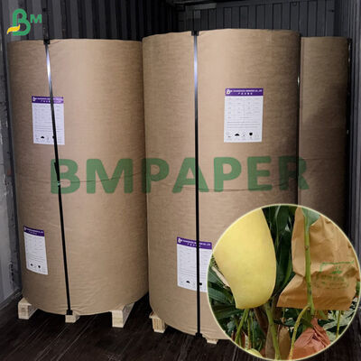 Double Layer Waterproof 56gsm Buah Perlindungan Bungkus Kertas Untuk Mangga 450mm